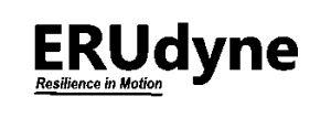 ERUdyne logo